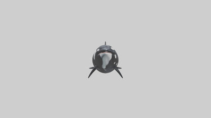 3D model Orca swimming model VR / AR / low-poly