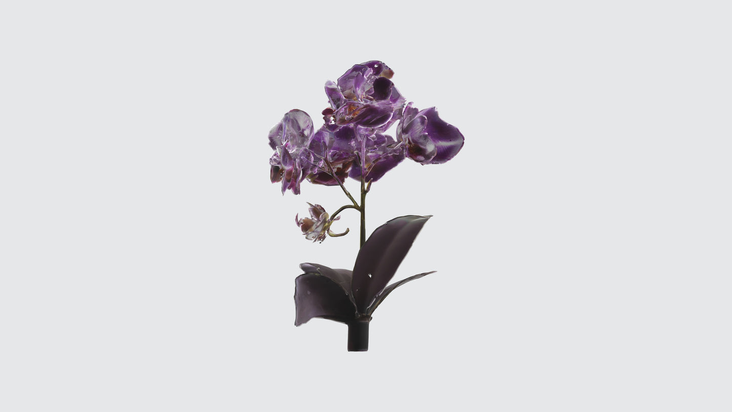3D model Orchid Flowers VR / AR / low-poly