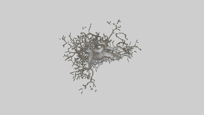 Organic Branches Statue model 3D model