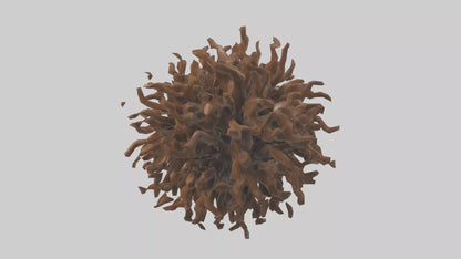 Organic Cluster Sculpture model 3D model