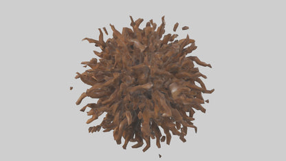 Organic Cluster Sculpture model 3D model