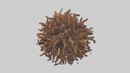 Organic Cluster Sculpture model 3D model