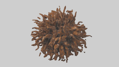 Organic Cluster Sculpture model 3D model