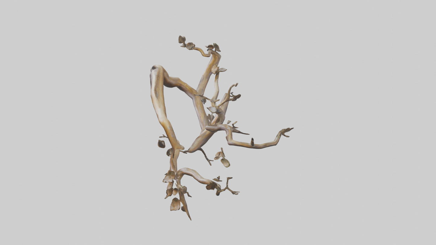 Organic Flow Branch Sculpture model 3D model