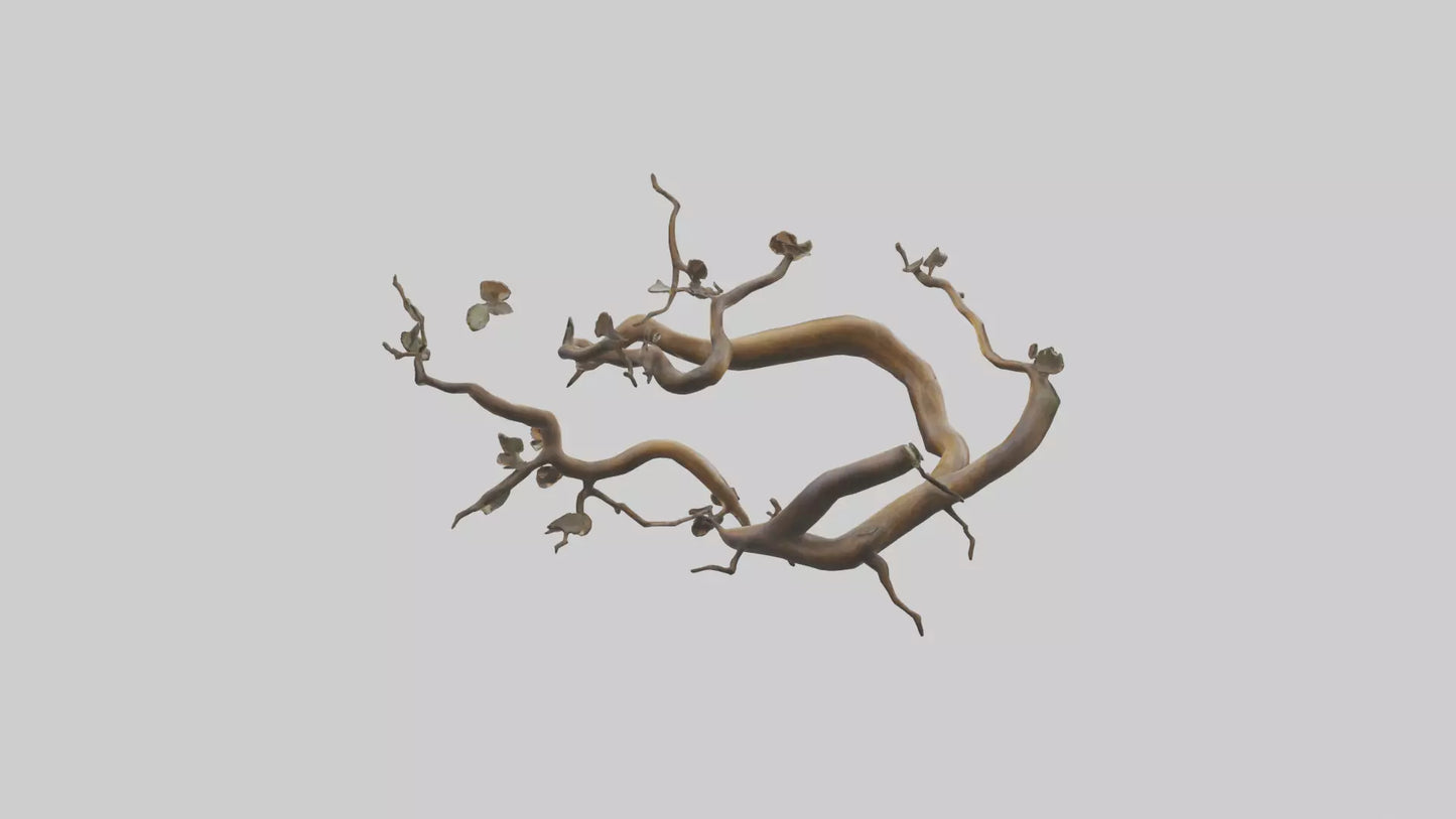 Organic Flow Branch Sculpture model 3D model