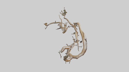 Organic Flow Branch Sculpture model 3D model