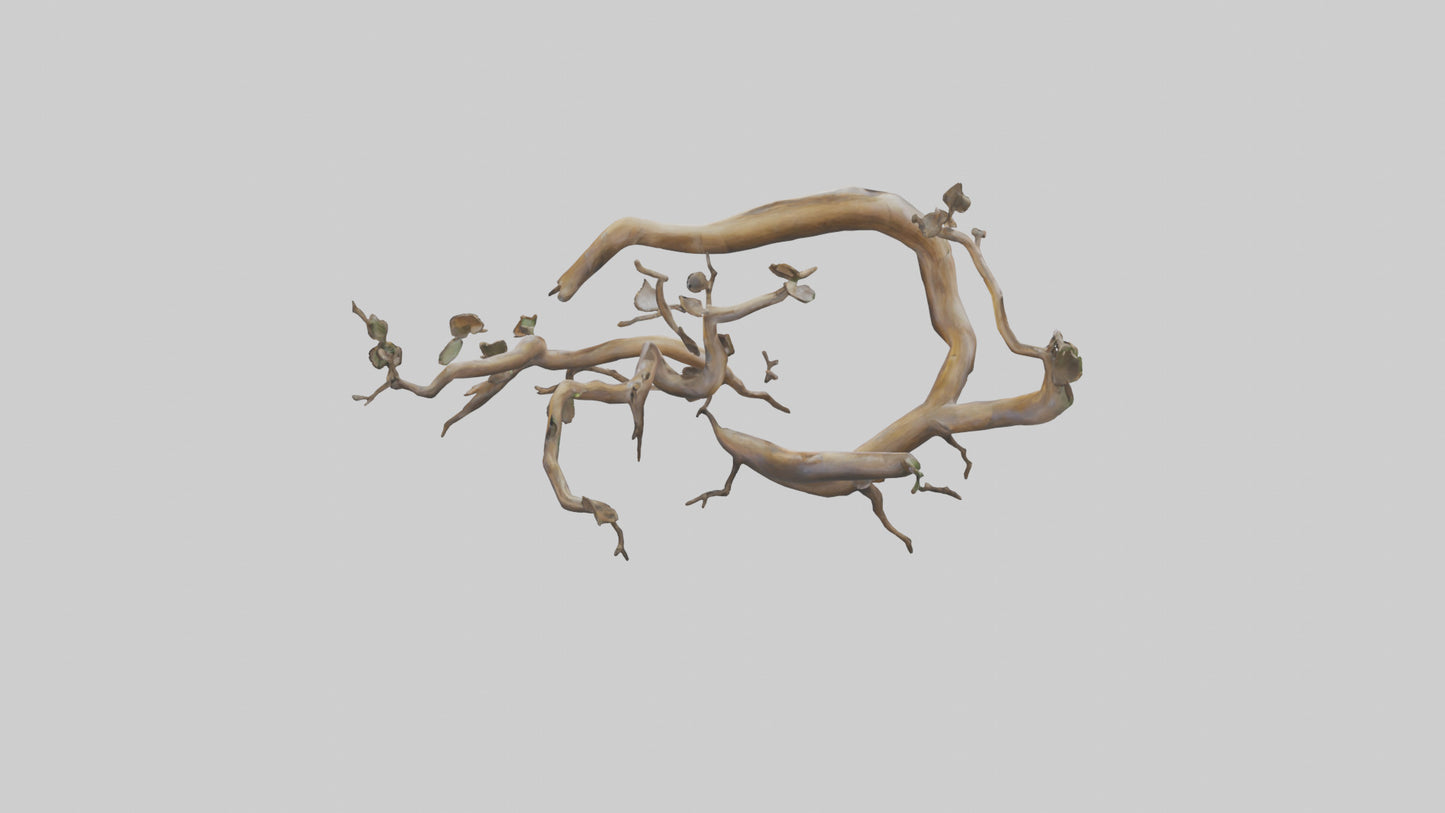 Organic Flow Branch Sculpture model 3D model
