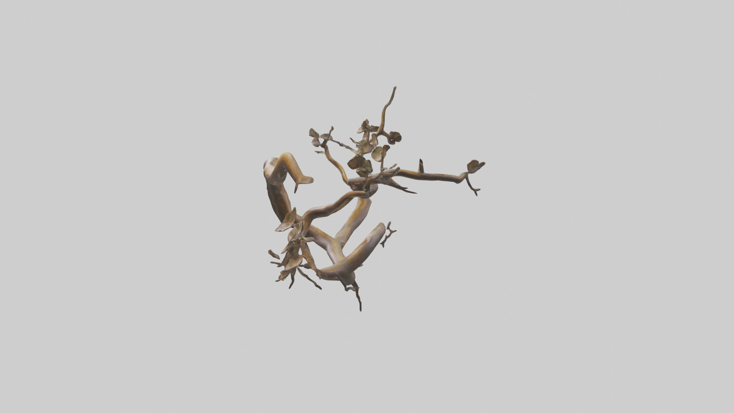 Organic Flow Branch Sculpture model 3D model