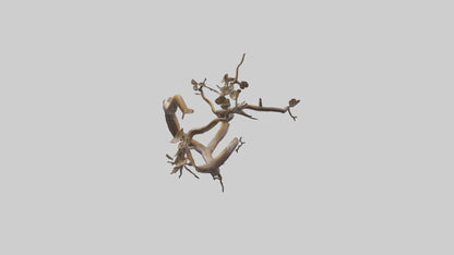 Organic Flow Branch Sculpture model 3D model