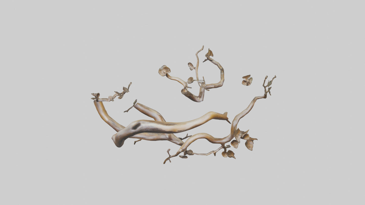 Organic Flow Branch Sculpture model 3D model