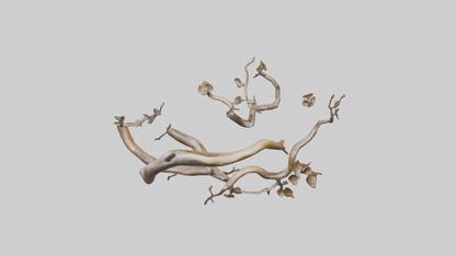 Organic Flow Branch Sculpture model 3D model