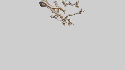 Organic Flow Branch Sculpture model 3D model
