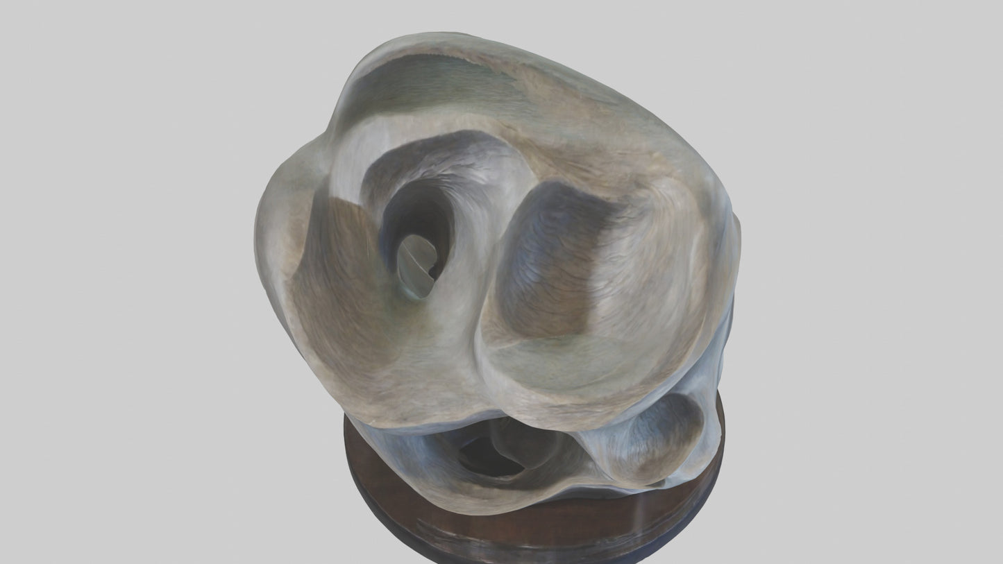 Organic Flow statue model 2 3D model