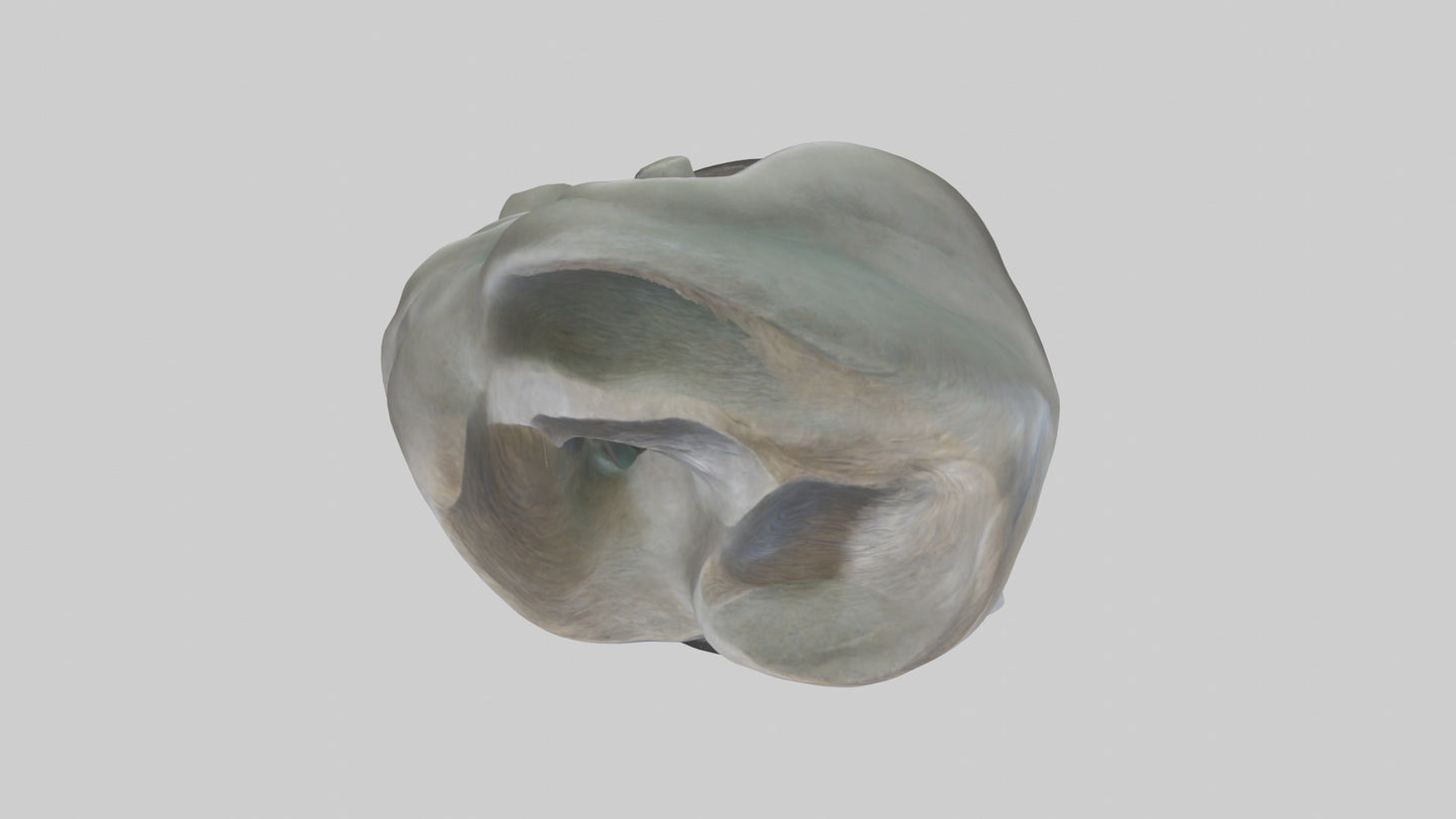 Organic Flow statue model 2 3D model