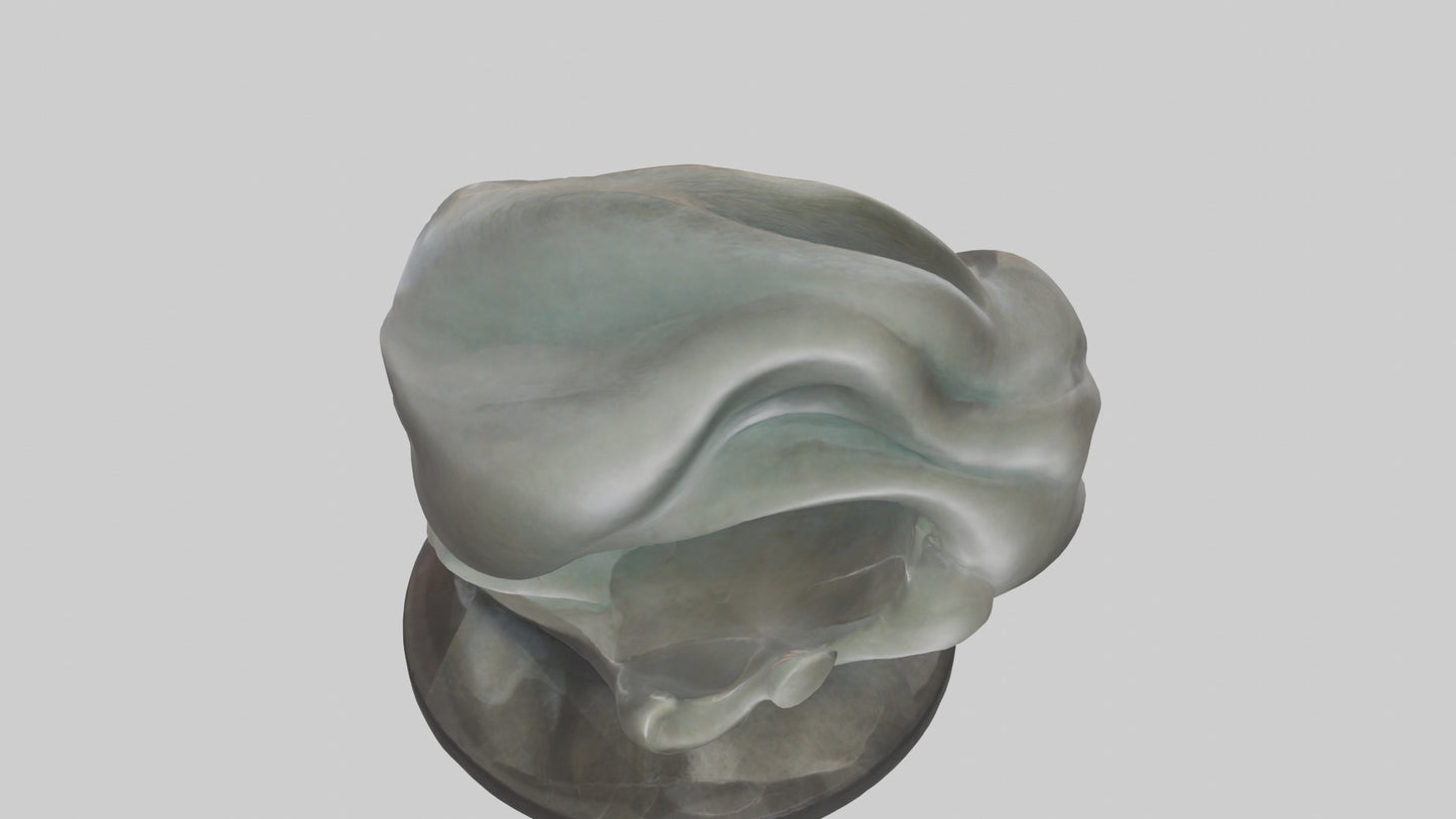 Organic Flow statue model 2 3D model