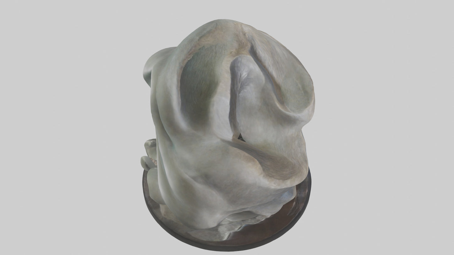 Organic Flow statue model 2 3D model