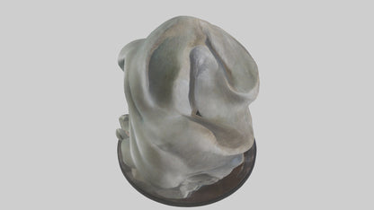 Organic Flow statue model 2 3D model
