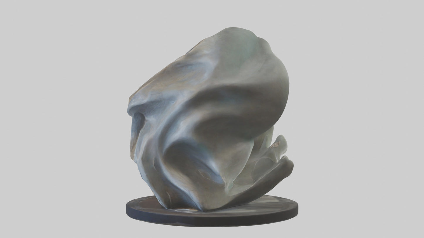 Organic Flow statue model 2 3D model