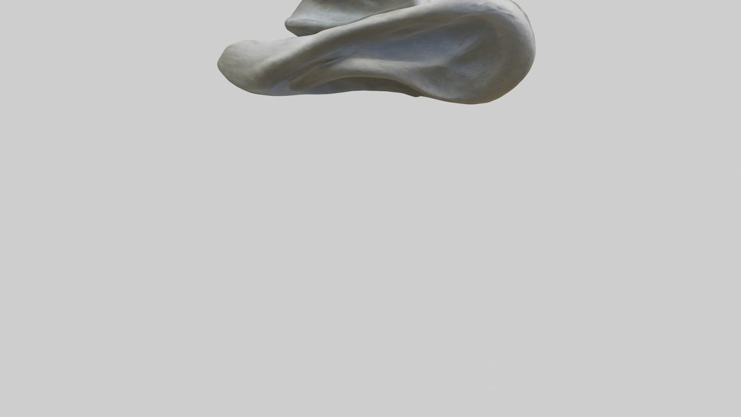Organic Flow statue model VR / AR / low-poly