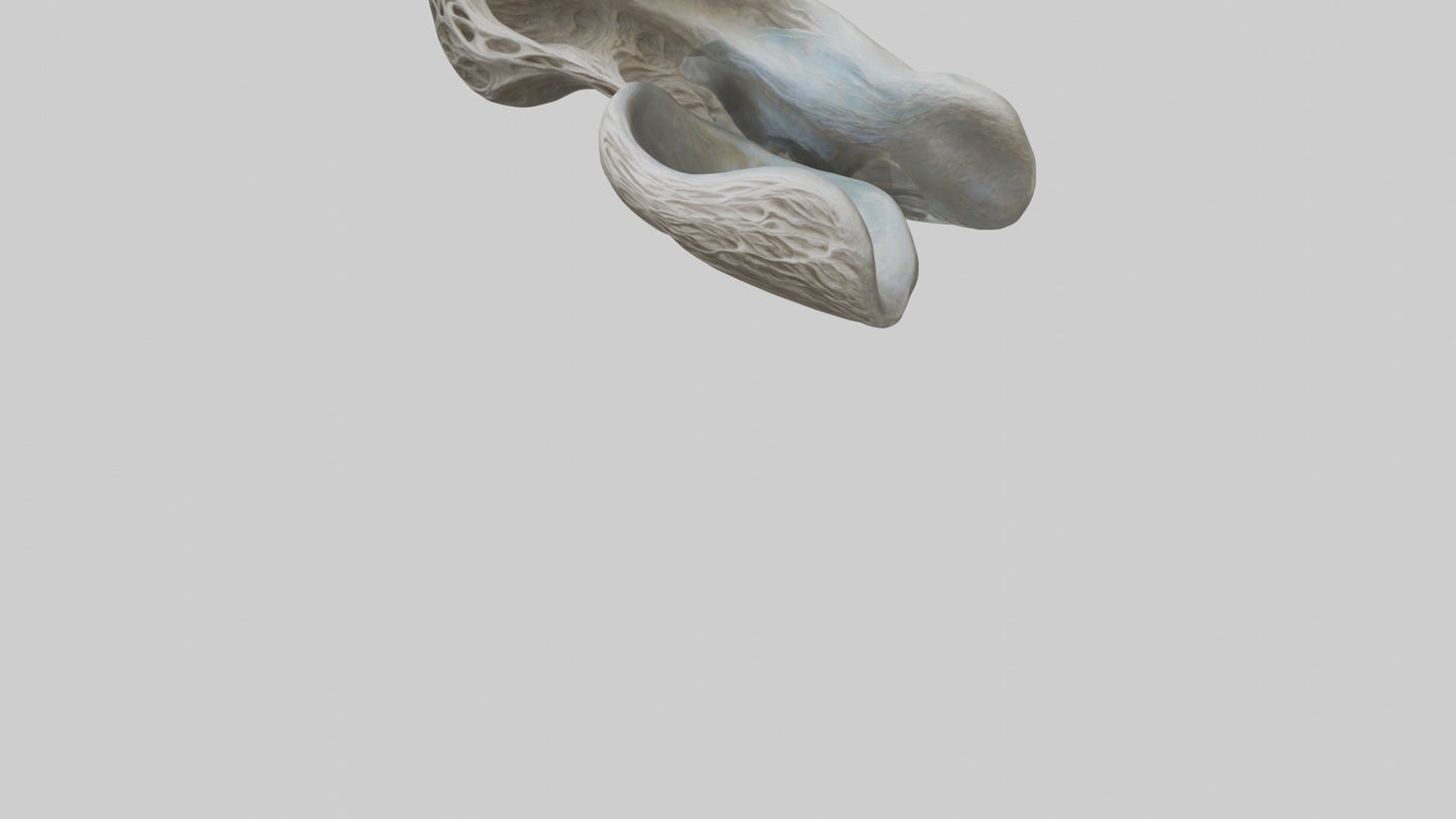 Organic Flow statue model VR / AR / low-poly