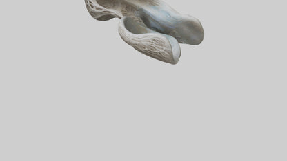 Organic Flow statue model VR / AR / low-poly