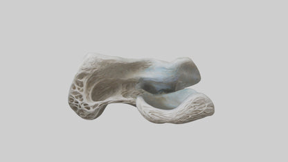 Organic Flow statue model VR / AR / low-poly