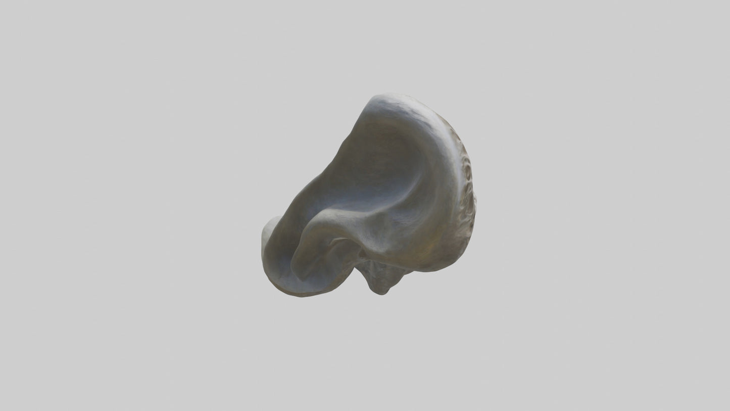 Organic Flow statue model VR / AR / low-poly