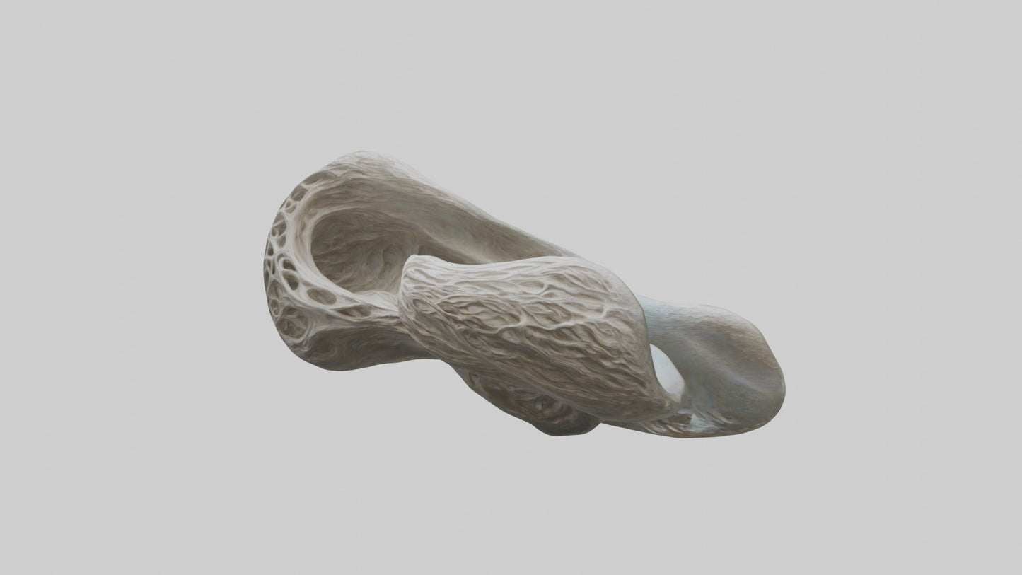 Organic Flow statue model VR / AR / low-poly