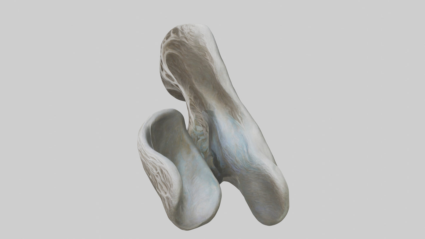 Organic Flow statue model VR / AR / low-poly