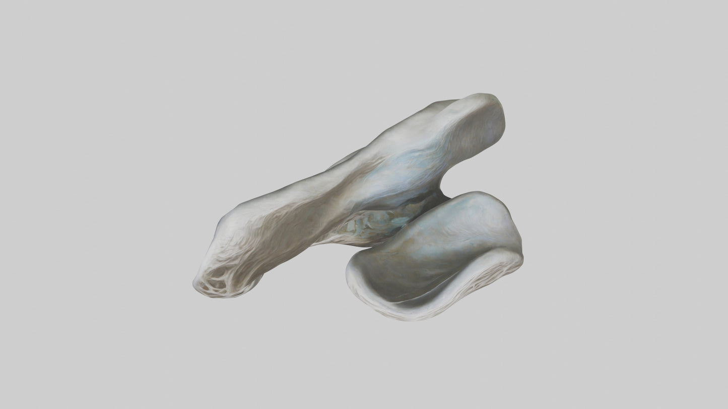 Organic Flow statue model VR / AR / low-poly