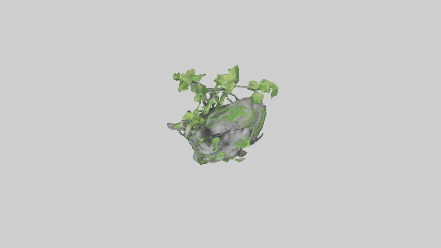 Organic Growth Tangle statue model 3D model