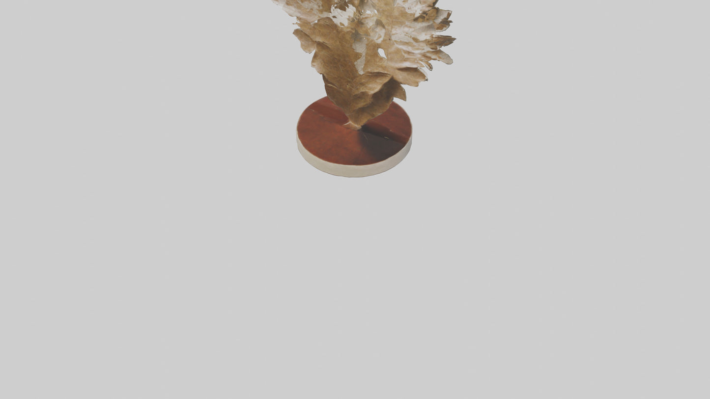 Organic Leaf Pattern Sculpture model 3D model