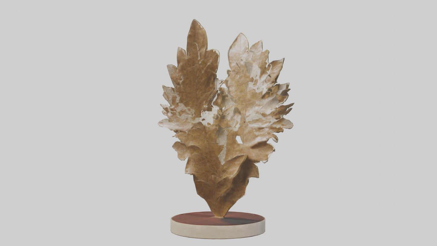 Organic Leaf Pattern Sculpture model 3D model