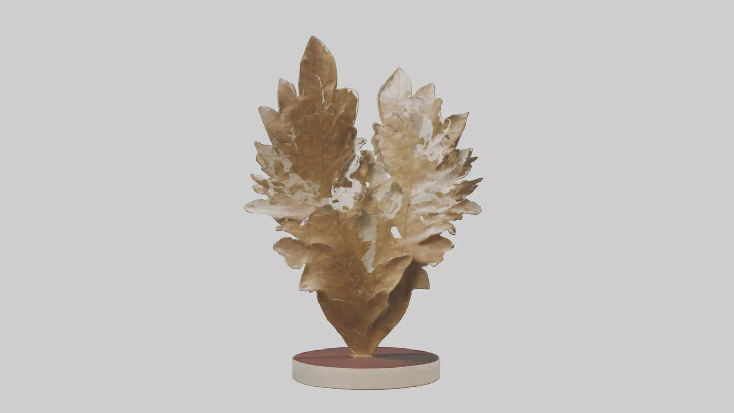 Organic Leaf Pattern Sculpture model 3D model