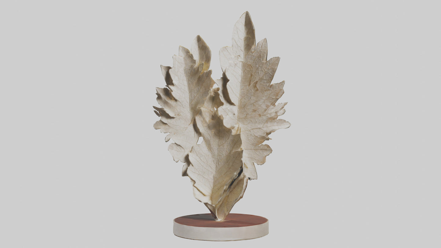 Organic Leaf Pattern Sculpture model 3D model