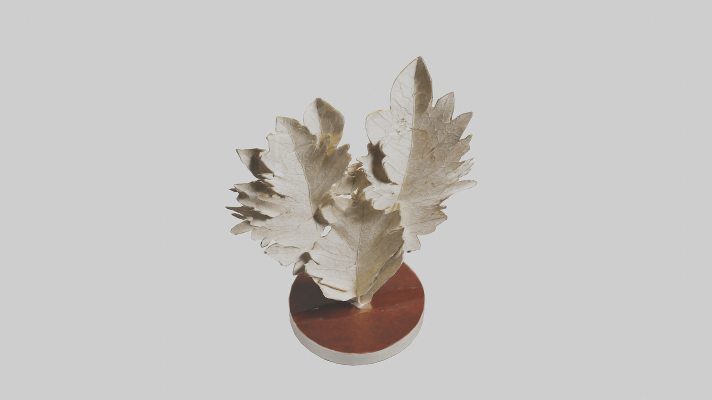 Organic Leaf Pattern Sculpture model 3D model
