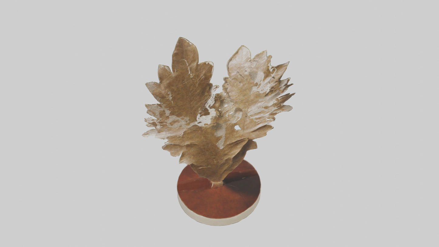 Organic Leaf Pattern Sculpture model 3D model