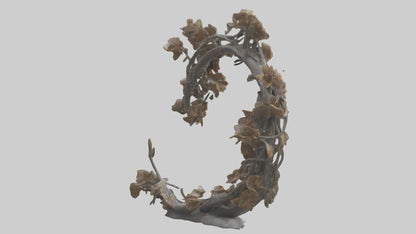 Organic Life Spiral statue model 3D model