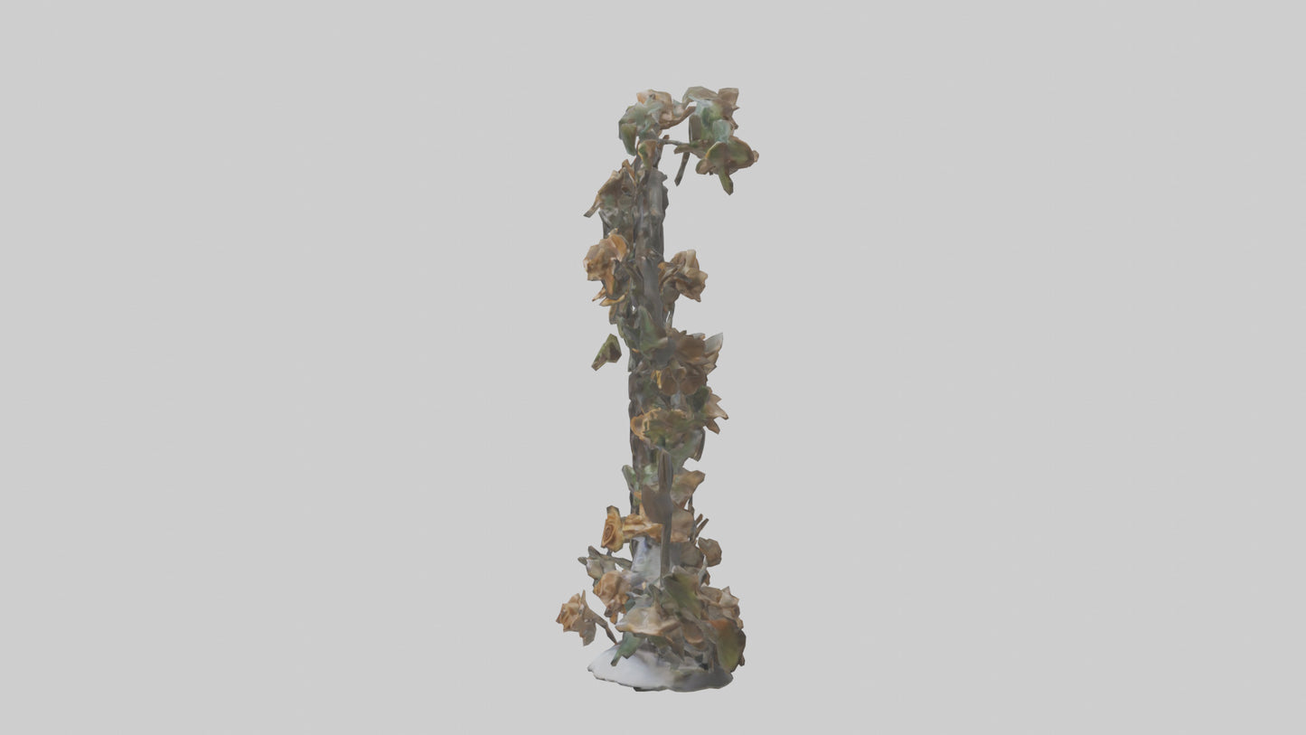 Organic Life Spiral statue model 3D model