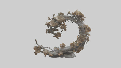 Organic Life Spiral statue model 3D model