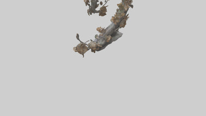 Organic Life Spiral statue model 3D model