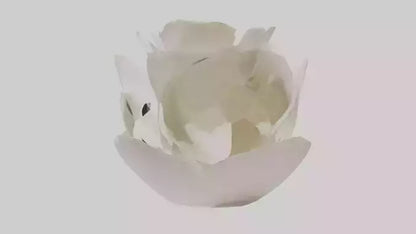 Organic Petal Spiral sculpture model 3D model