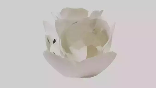 Organic Petal Spiral sculpture model 3D model