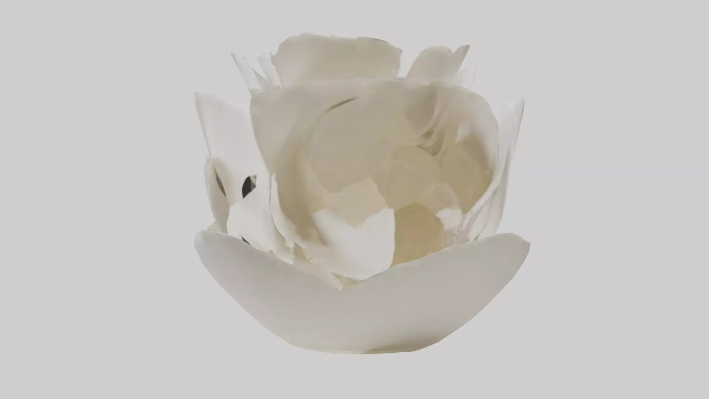 Organic Petal Spiral sculpture model 3D model