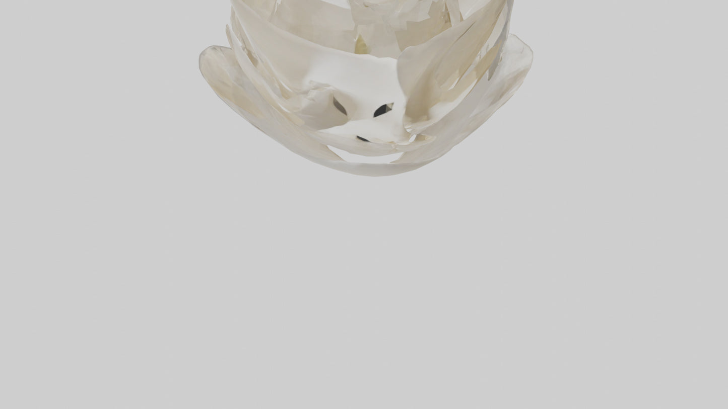 Organic Petal Spiral sculpture model 3D model