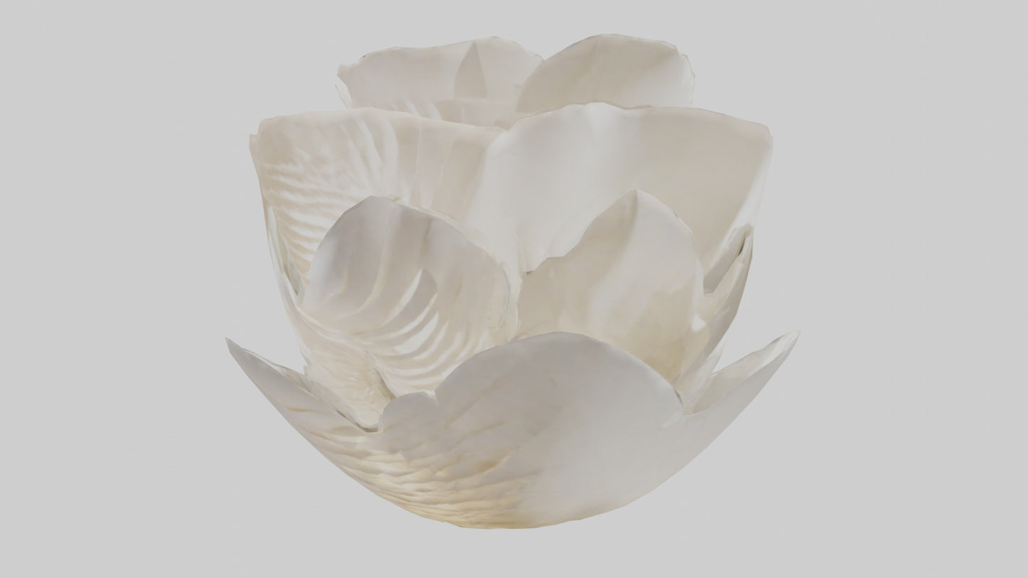 Organic Petal Spiral sculpture model 3D model