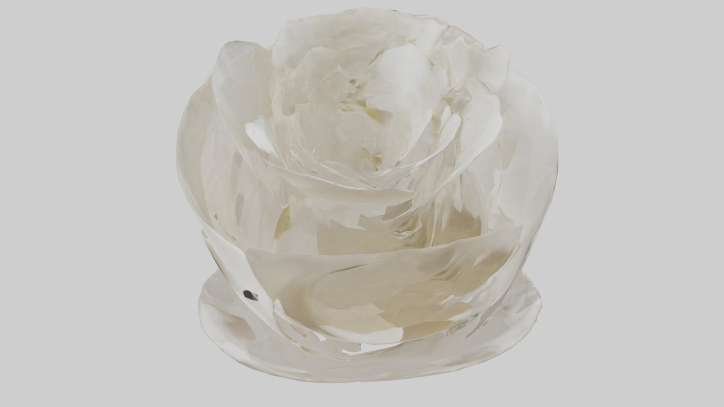 Organic Petal Spiral sculpture model 3D model