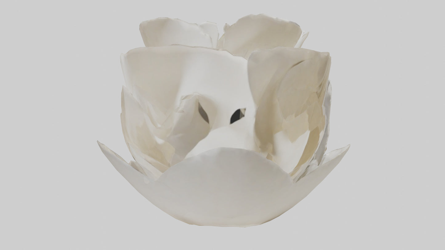 Organic Petal Spiral sculpture model 3D model