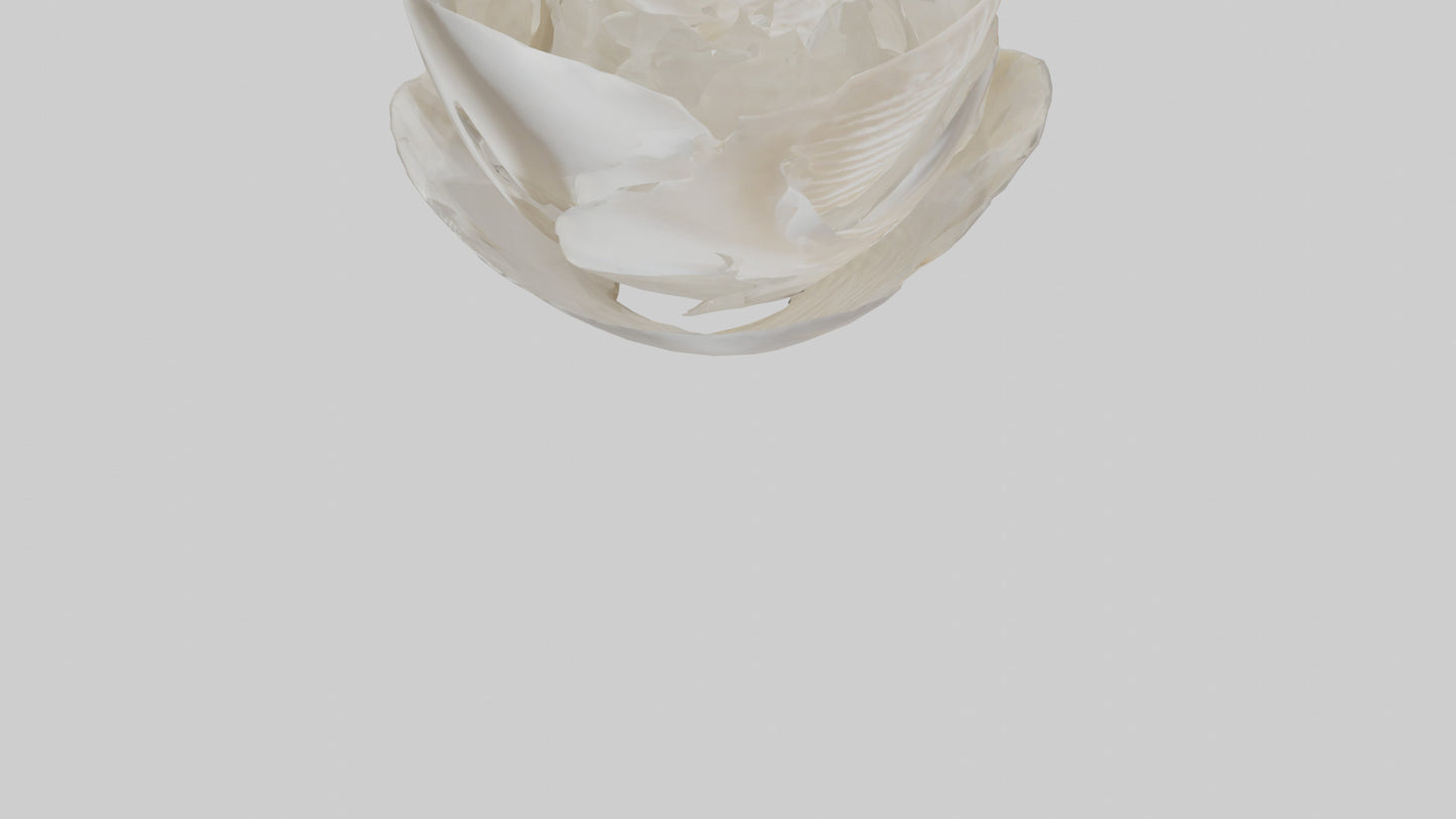 Organic Petal Spiral sculpture model 3D model