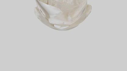 Organic Petal Spiral sculpture model 3D model